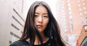 Liu Wen