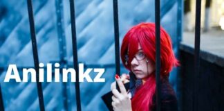 Anilinkz
