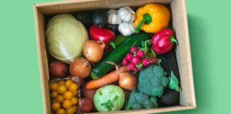 New Day Healthy You: Vegetables you Must Include in Your Diet New Day Healthy You: Vegetables you Must Include in Your Diet