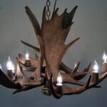 antler chandelier1