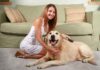 Learn to Groom Your Pets! Learn to Groom Your Pets
