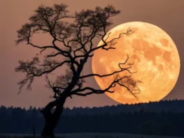 How Many Moons Jupiter Has and Why This Number Keeps Changing How Many Moons Jupiter Has and Why This Number Keeps Changing