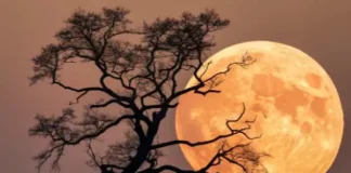 How Many Moons Jupiter Has and Why This Number Keeps Changing How Many Moons Jupiter Has and Why This Number Keeps Changing