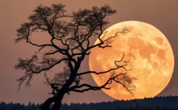 How Many Moons Jupiter Has and Why This Number Keeps Changing How Many Moons Jupiter Has and Why This Number Keeps Changing