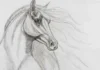 How to Draw a Horse