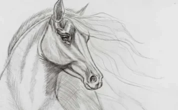 How to Draw a Horse: A Simple Guide That Actually Works How to Draw a Horse