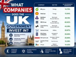 What companies does the UK government invest in? What companies does the UK government invest in?