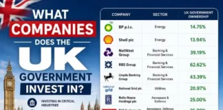 What companies does the UK government invest in? What companies does the UK government invest in?